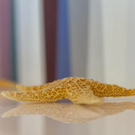 A بيت ضيافة سورينتو