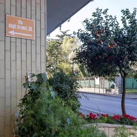 A סורנטו