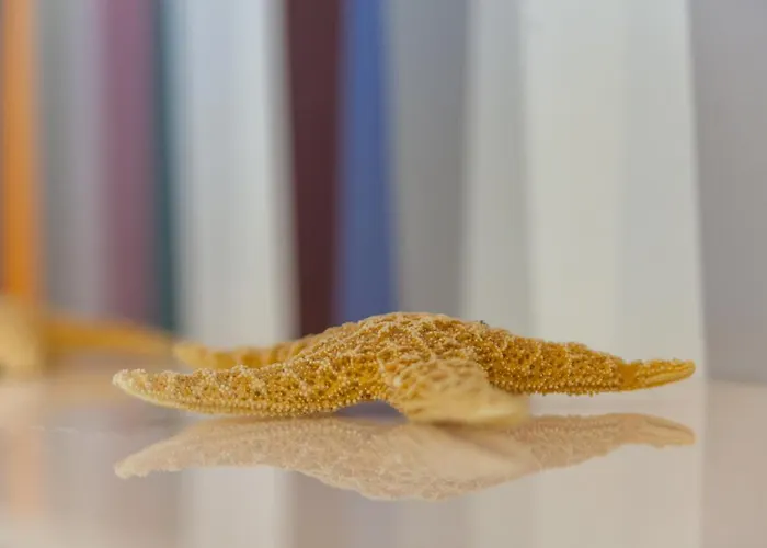 A Pensjonat Półwysep Sorrentyński